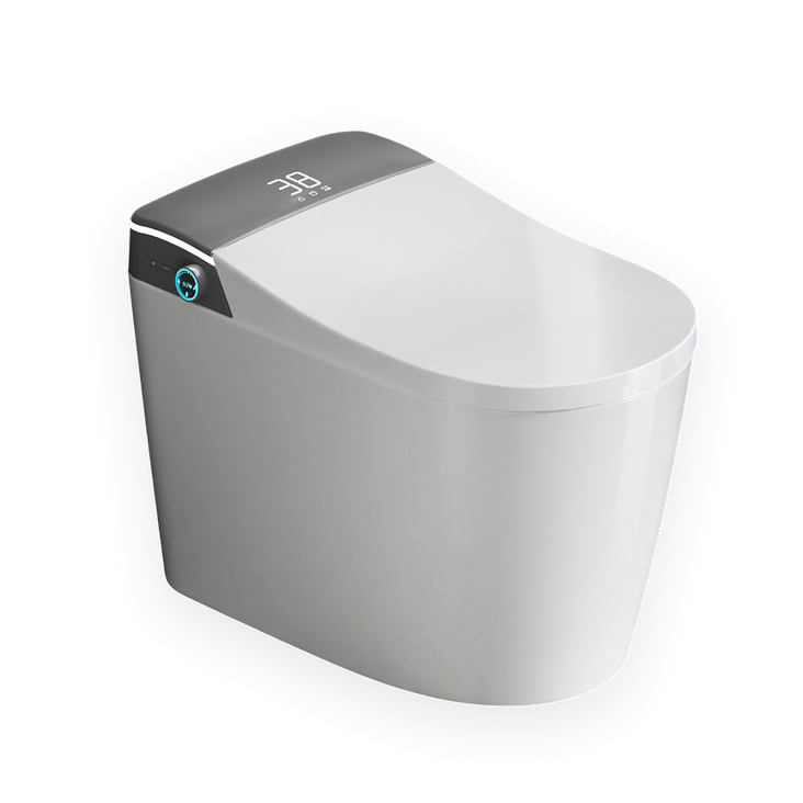 LuxFresh® Curvilinear Deluxe Japanese Style Smart Toilet