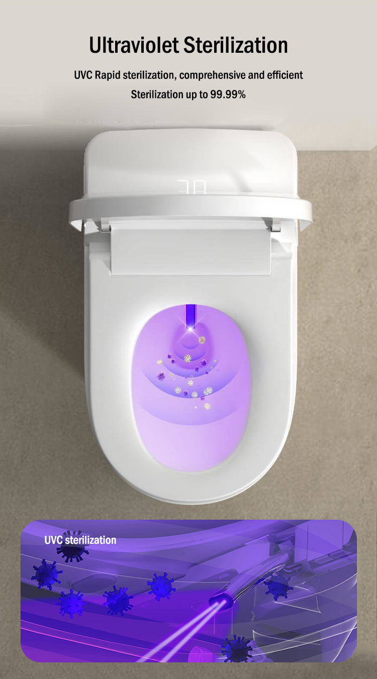 Floor-Standing Smart Bidet Shower Toilet Curvilinear (F8023W-S) Standard