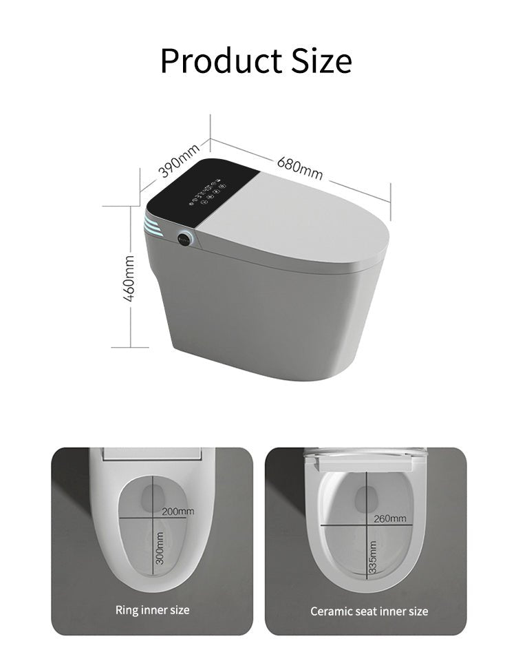 Luxfresh Japanese Style Smart Toilet - Your Future Living